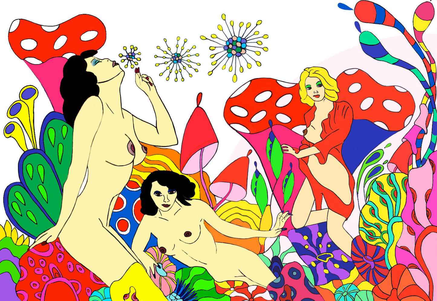 WONDERLAND