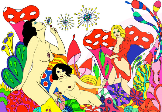 WONDERLAND